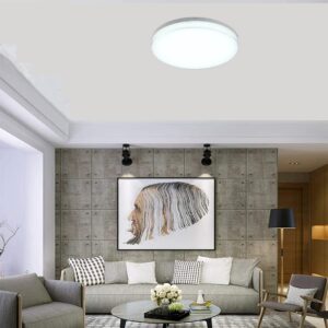 Homesbrand LED Ceiling Modern Down Light - Image 5