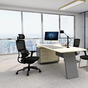 Homesbrand Ergonomic Home Office Mesh Chair - Black - Image 6
