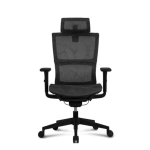 Homesbrand Ergonomic Home Office Mesh Chair - Black - Image 8